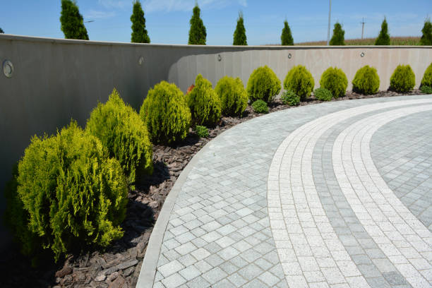 Reasons to Select Us for Your Driveway Paving Requirements in Mars Hill, NC